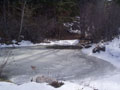 frozen pond.jpg